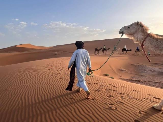 Désert marocain
