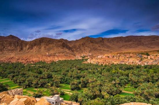 Oasis du Maroc